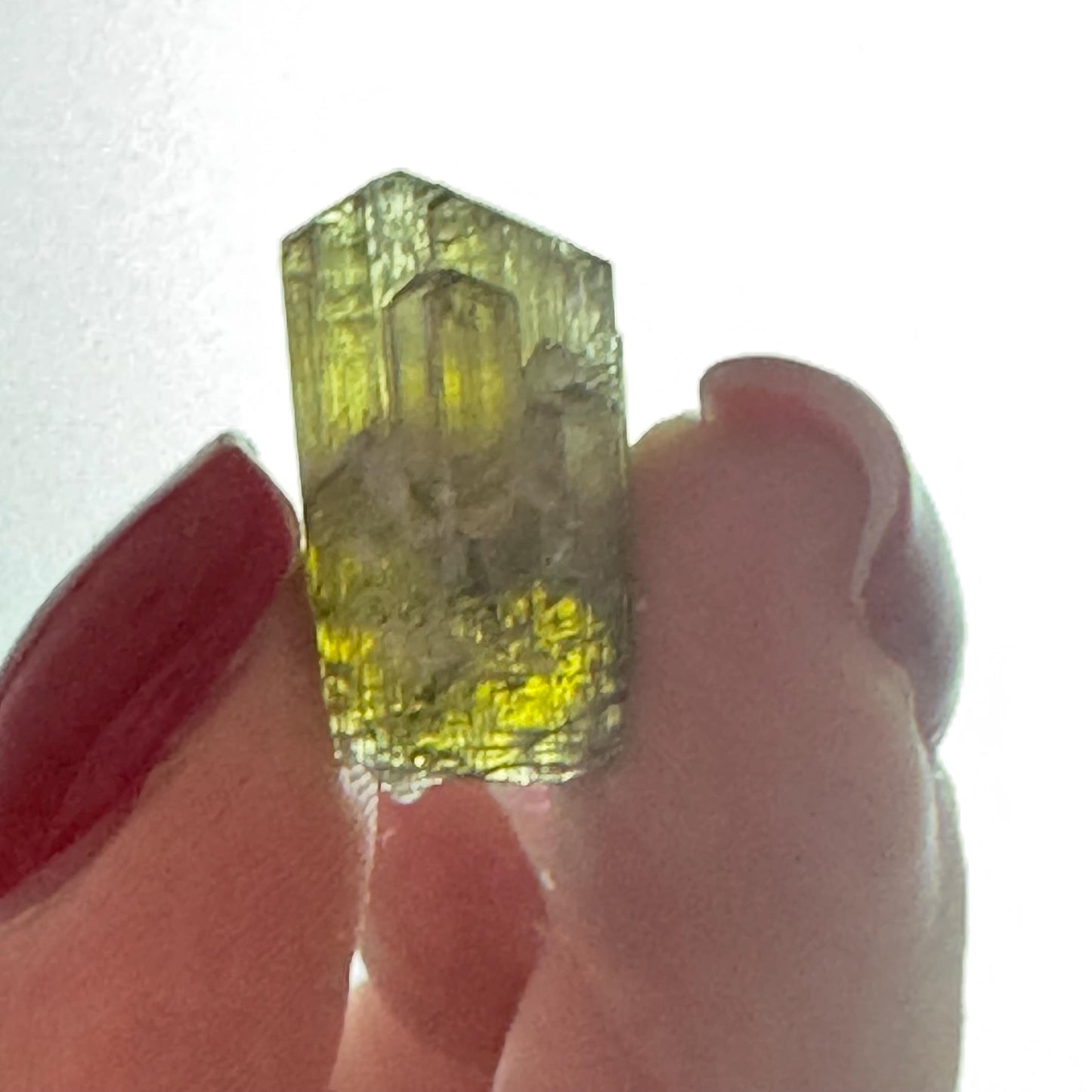 Natural TANZANITE Pleochroism, Blue Purple and Green Red from Tanzania Gem Quality