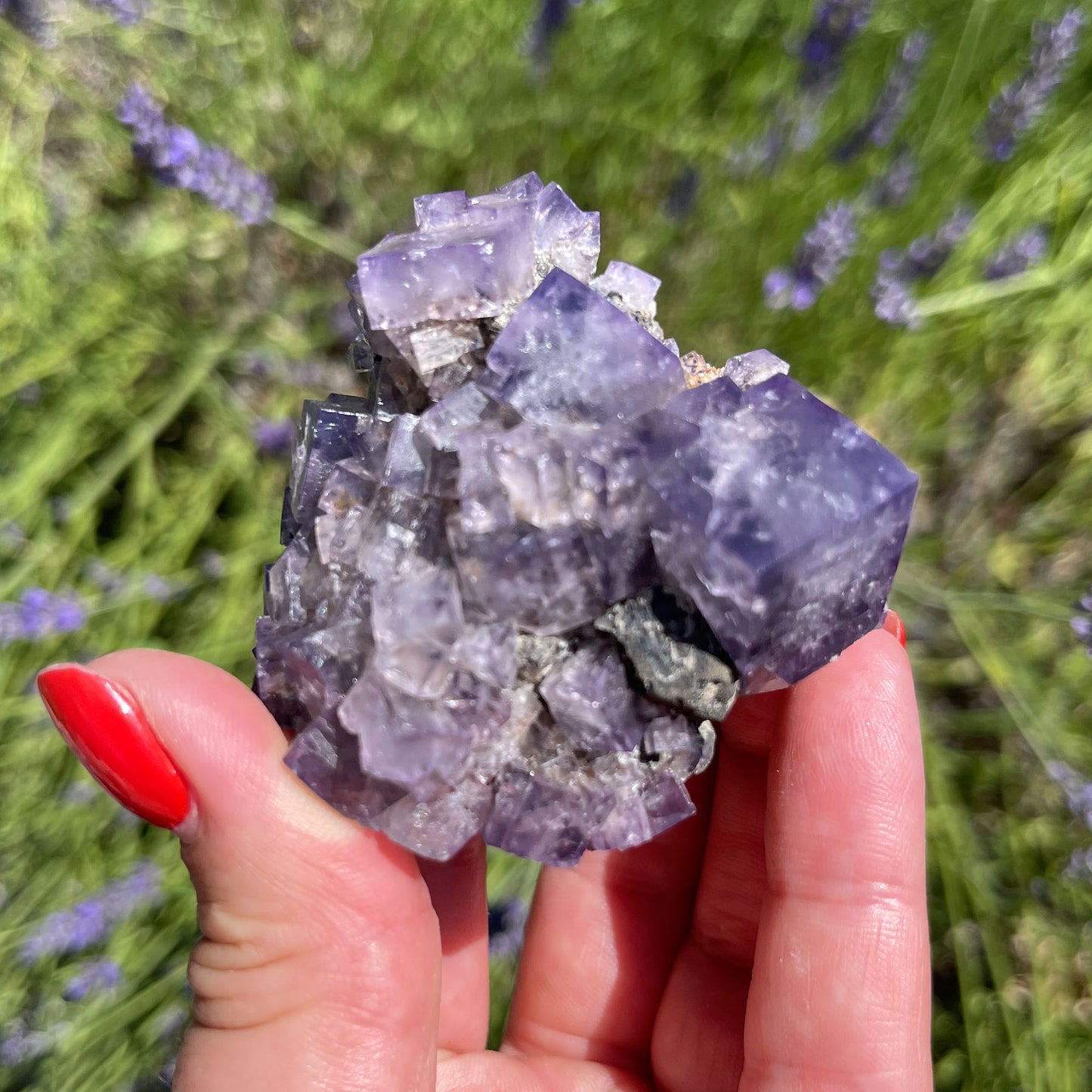 Gem-Quality Fluorite Extravaganza: Unveiling the Beauty of 'Purple Rain Pocket' from Lady Annabella Mine in England!