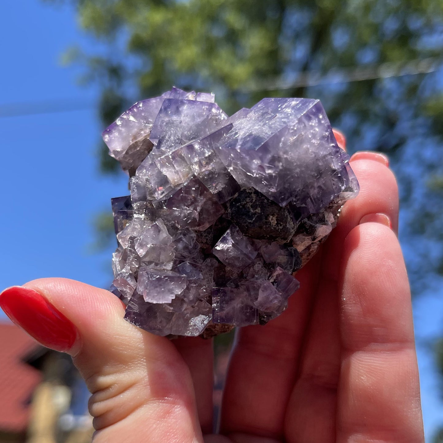 Gem-Quality Fluorite Extravaganza: Unveiling the Beauty of 'Purple Rain Pocket' from Lady Annabella Mine in England!