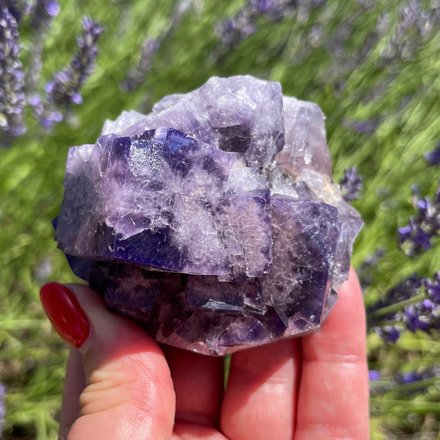 Gem-Quality Fluorite Extravaganza: Unveiling the Beauty of 'Purple Rain Pocket' from Lady Annabella Mine in England!