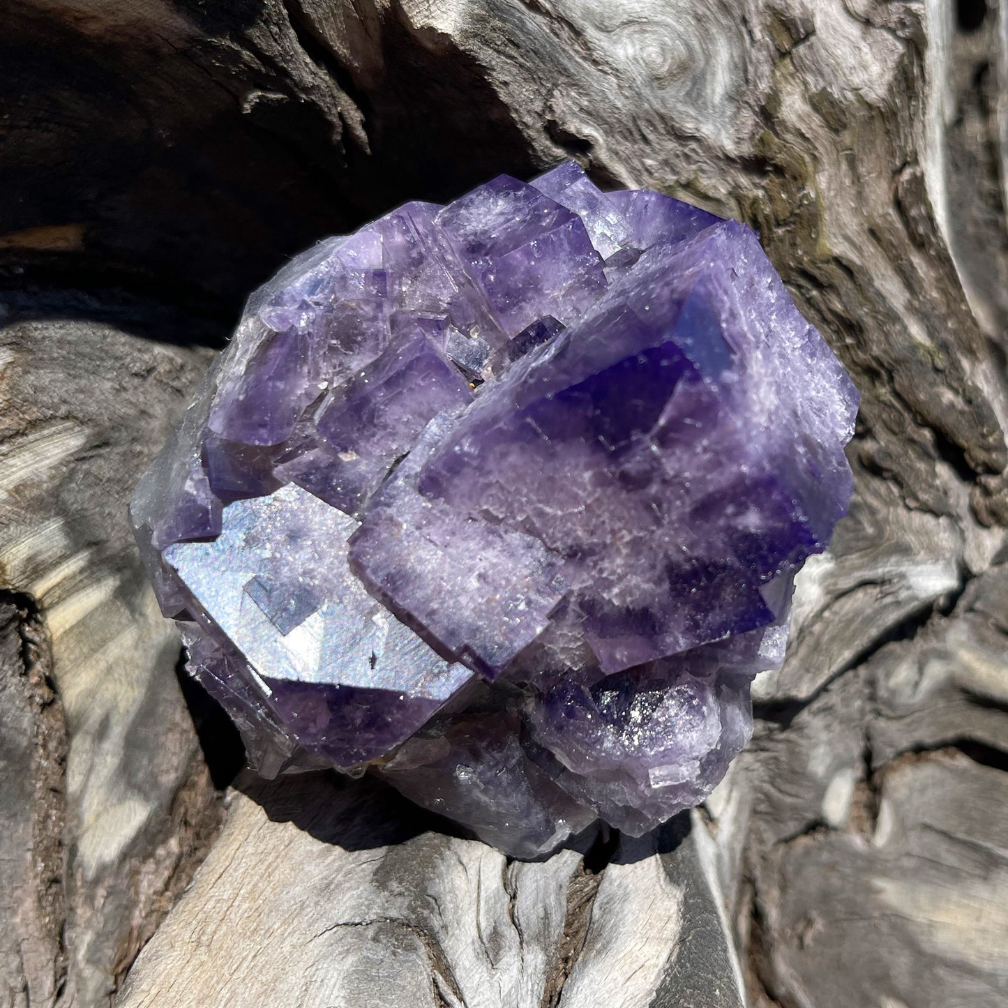 Gem-Quality Fluorite Extravaganza: Unveiling the Beauty of 'Purple Rain Pocket' from Lady Annabella Mine in England!