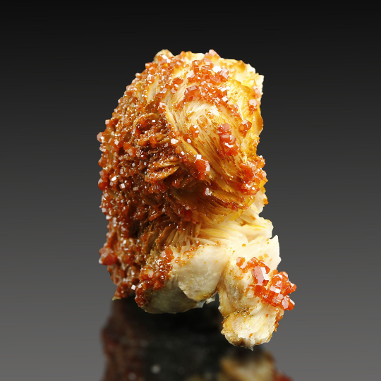 Perfect! VANADINITE on Baryte, Extraordinary Specimen, Morocco