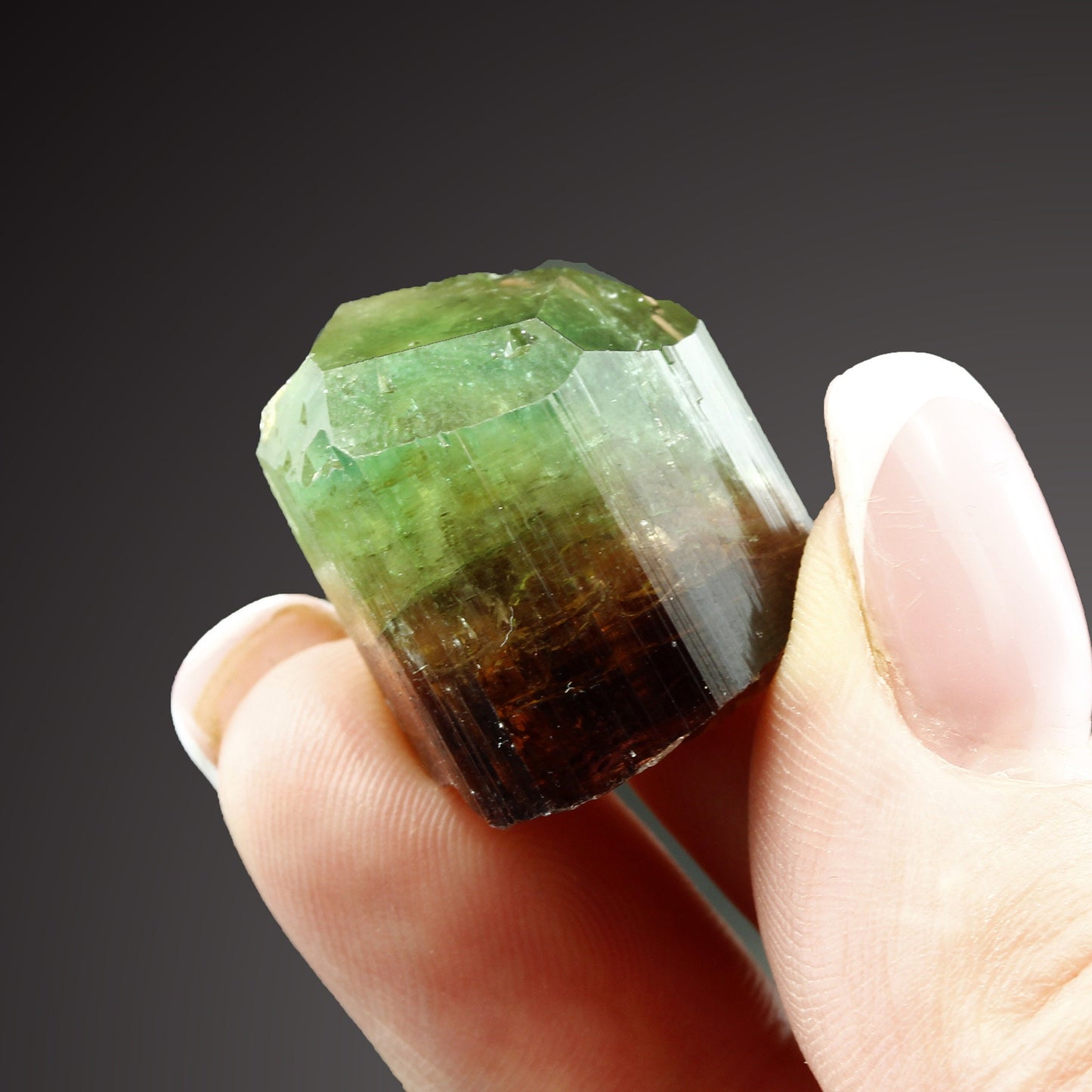 Tourmaline Marvel: Exclusive Gem from 2016 Extraction! Barra de Salinas Brazil