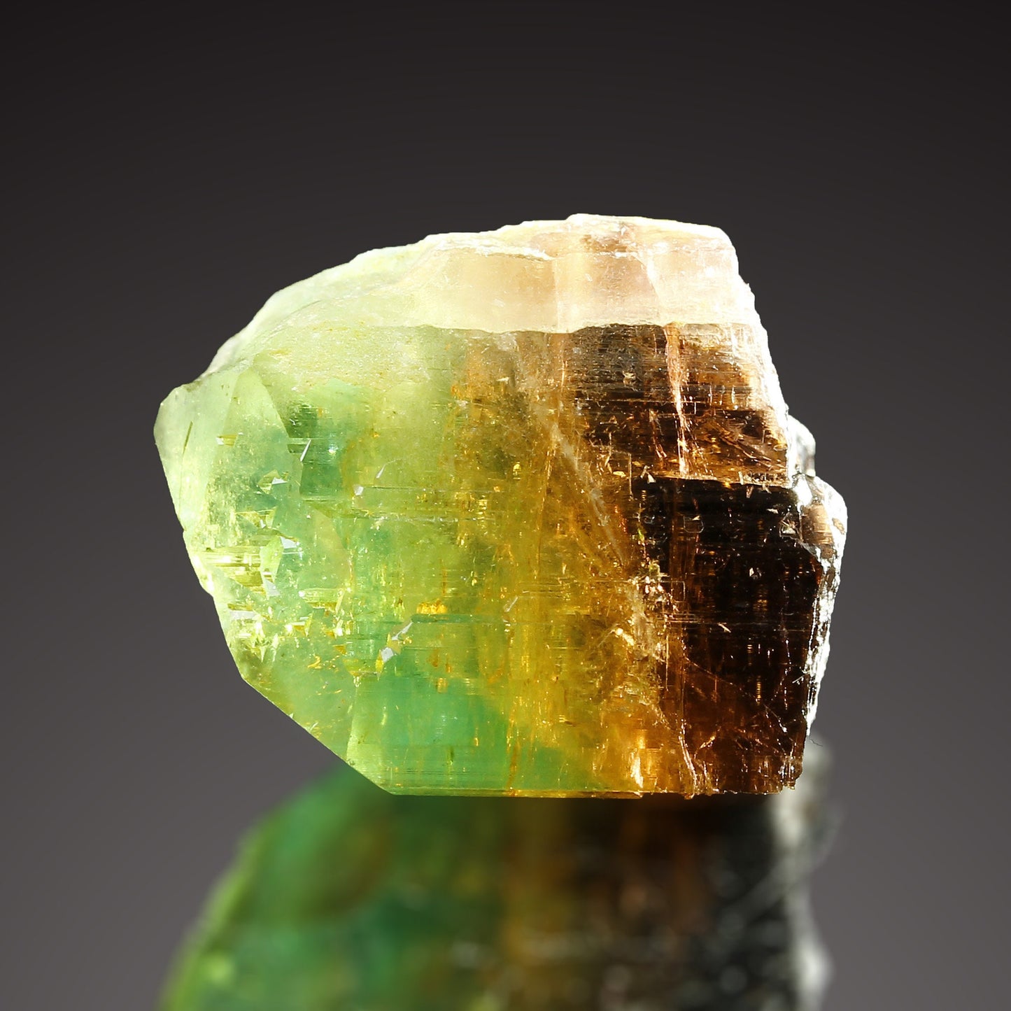 Tourmaline Marvel: Exclusive Gem from 2016 Extraction! Barra de Salinas Brazil