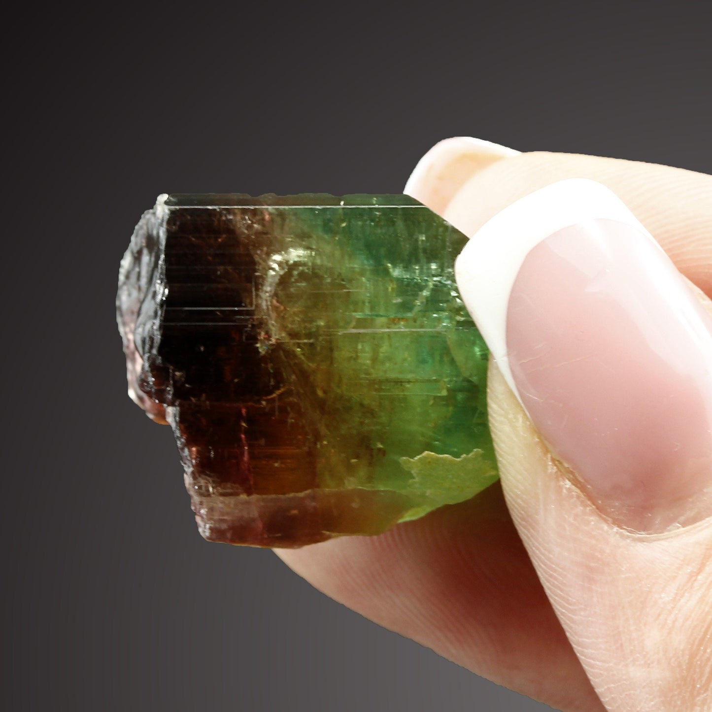 Tourmaline Marvel: Exclusive Gem from 2016 Extraction! Barra de Salinas Brazil