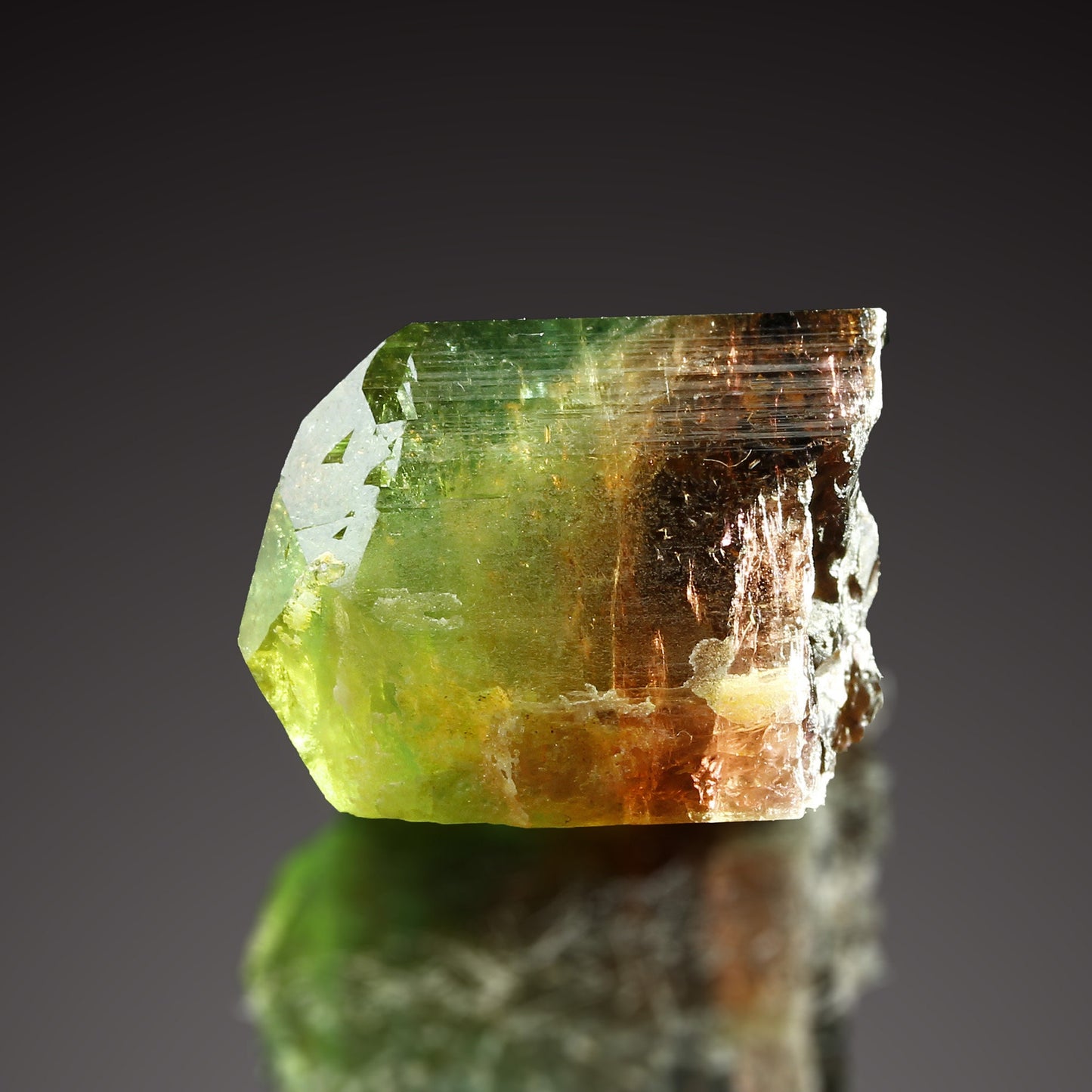 Tourmaline Marvel: Exclusive Gem from 2016 Extraction! Barra de Salinas Brazil