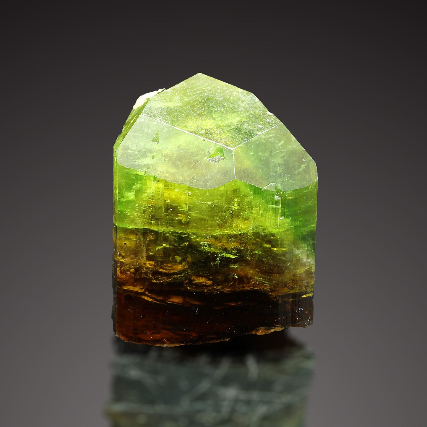 Tourmaline Marvel: Exclusive Gem from 2016 Extraction! Barra de Salinas Brazil