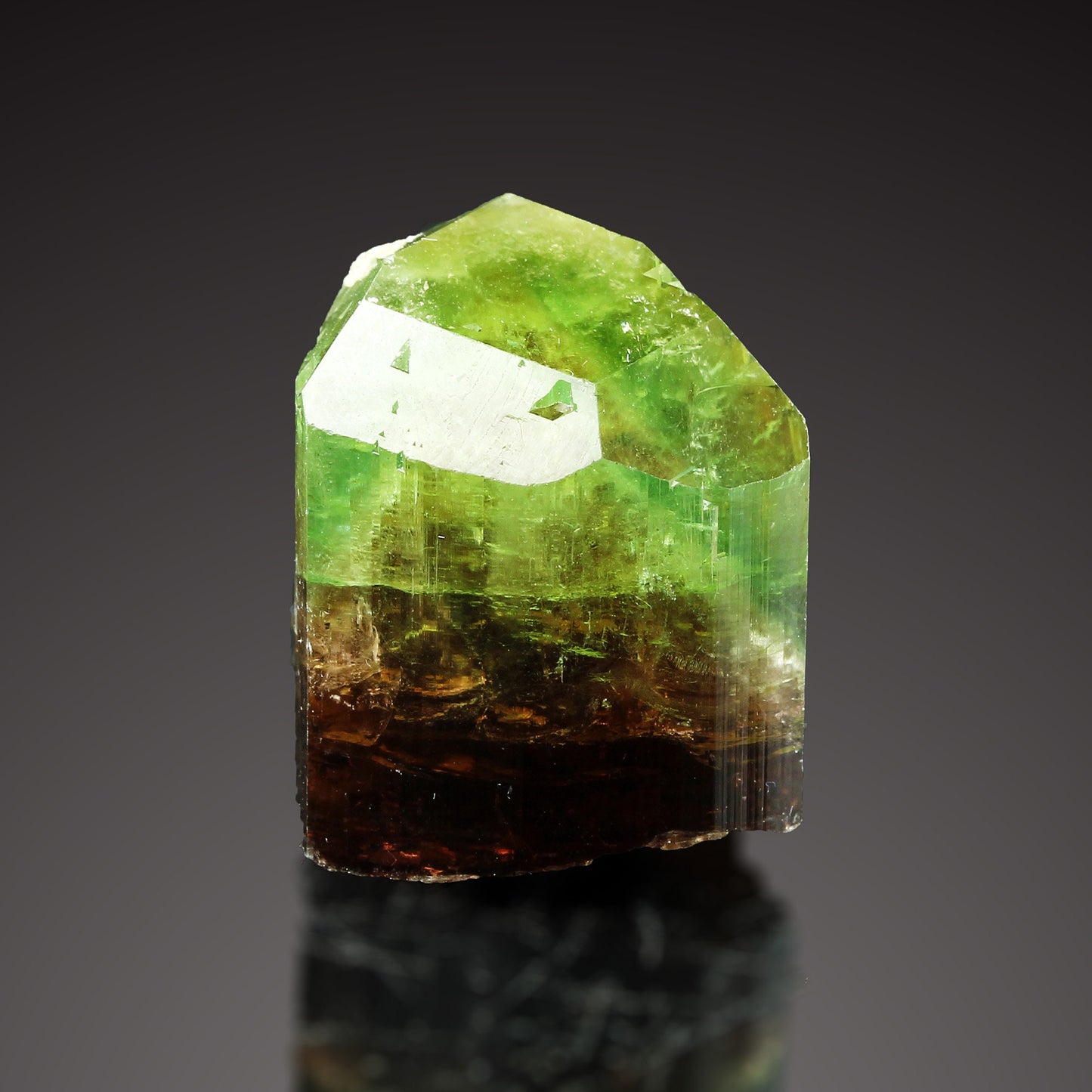 Tourmaline Marvel: Exclusive Gem from 2016 Extraction! Barra de Salinas Brazil