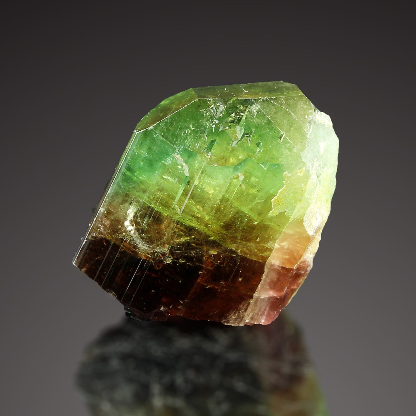 Tourmaline Marvel: Exclusive Gem from 2016 Extraction! Barra de Salinas Brazil