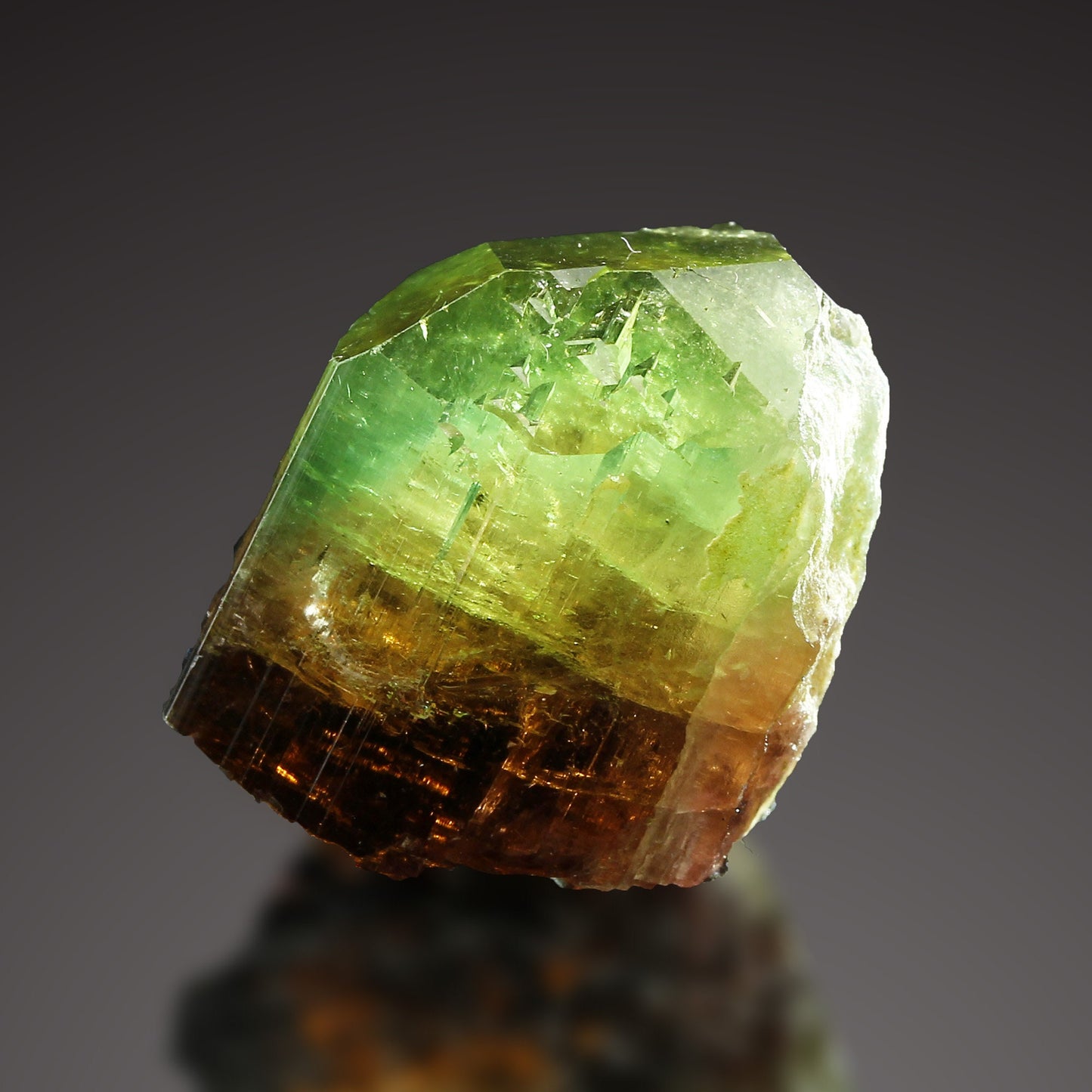 Tourmaline Marvel: Exclusive Gem from 2016 Extraction! Barra de Salinas Brazil