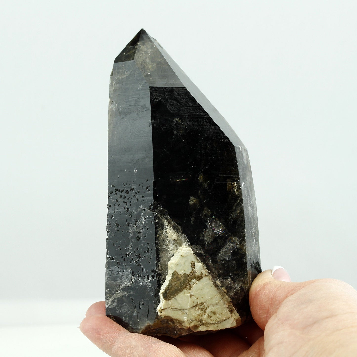 Polish Smoky Quartz Morion with Bavenite Inclusion and Chlorite - Exceptional Rarity, Strzegom, Poland