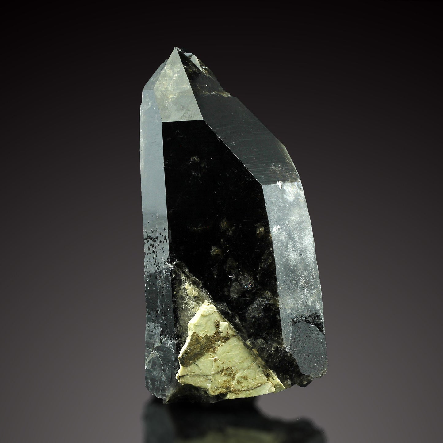 Polish Smoky Quartz Morion with Bavenite Inclusion and Chlorite - Exceptional Rarity, Strzegom, Poland